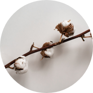 a-propos_materiaux-naturels